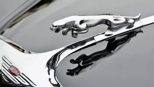 Прыгающий ягуар у Jaguar