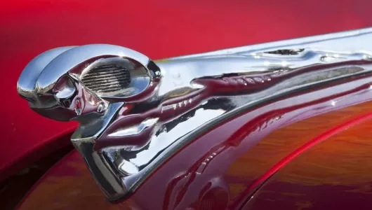 Баран у Dodge